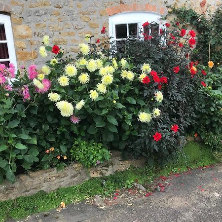The Cottage Abbotsbury Dış mekan fotoğraf