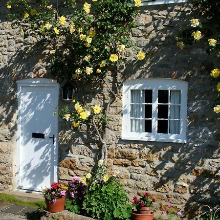 The Cottage Abbotsbury Dış mekan fotoğraf