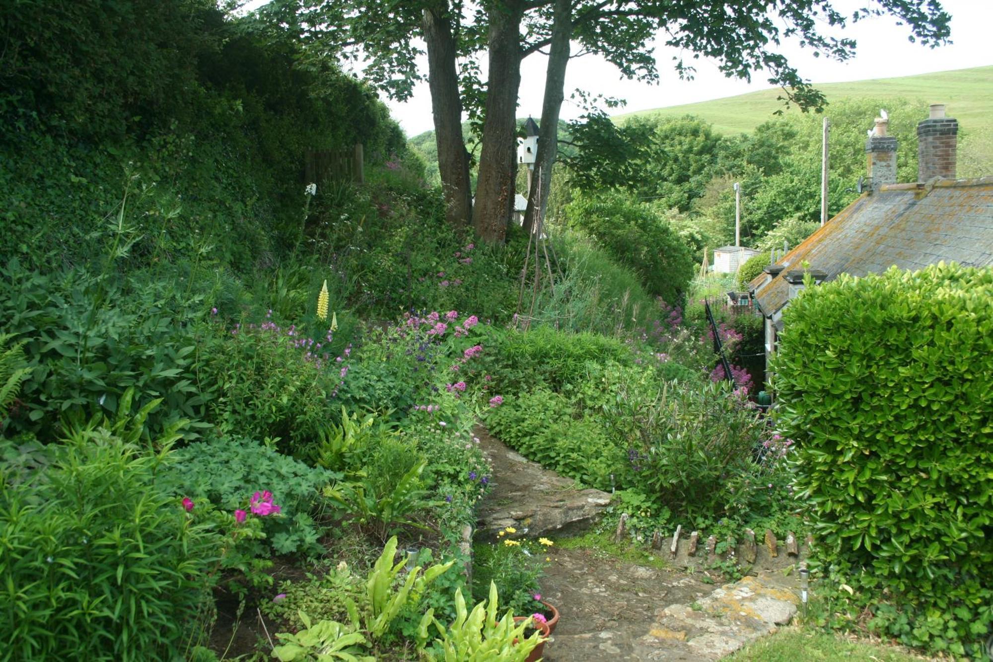 The Cottage Abbotsbury Dış mekan fotoğraf