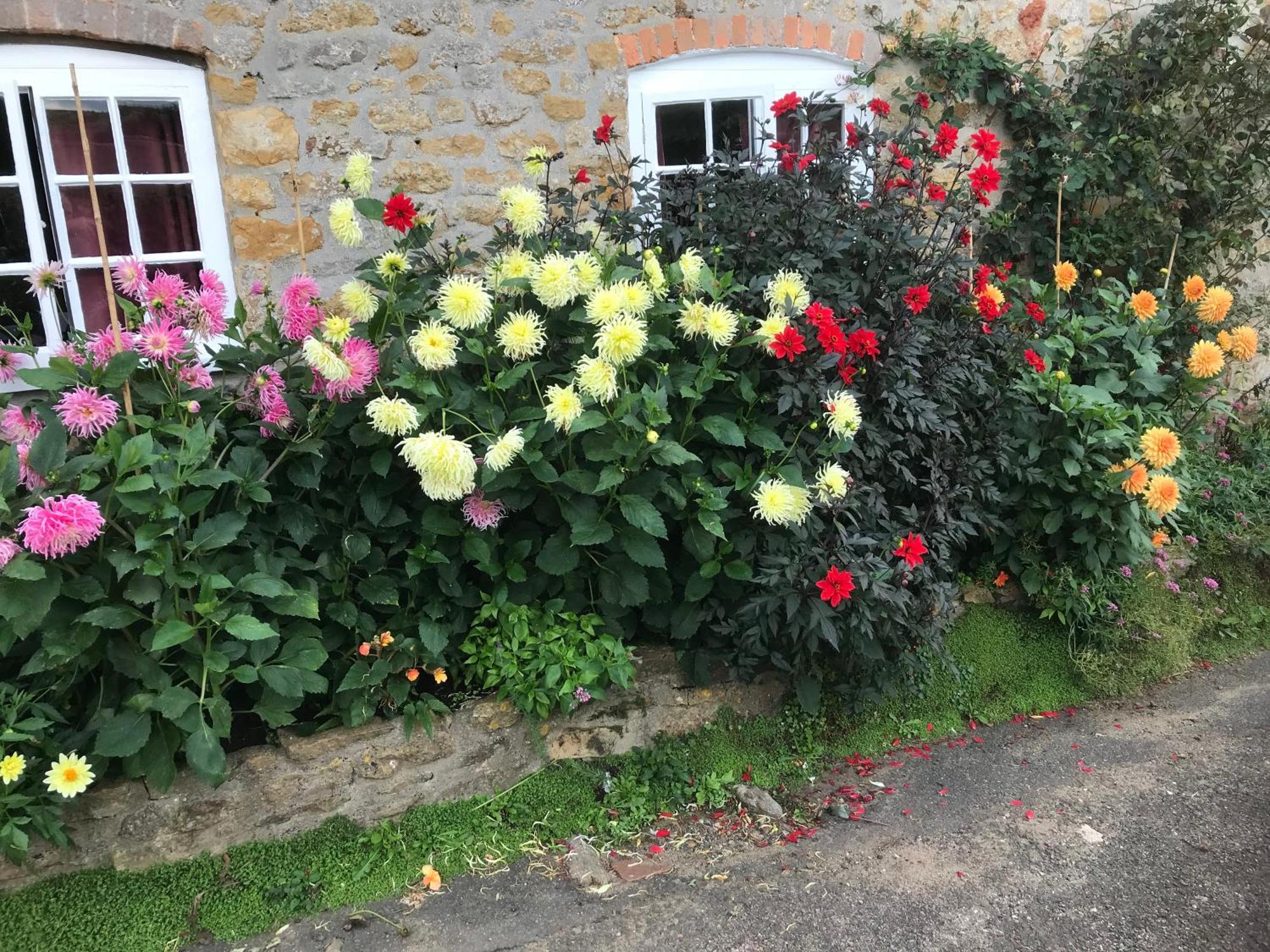 The Cottage Abbotsbury Dış mekan fotoğraf