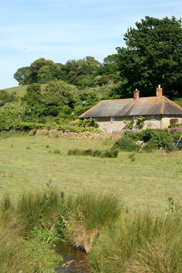 The Cottage Abbotsbury Dış mekan fotoğraf