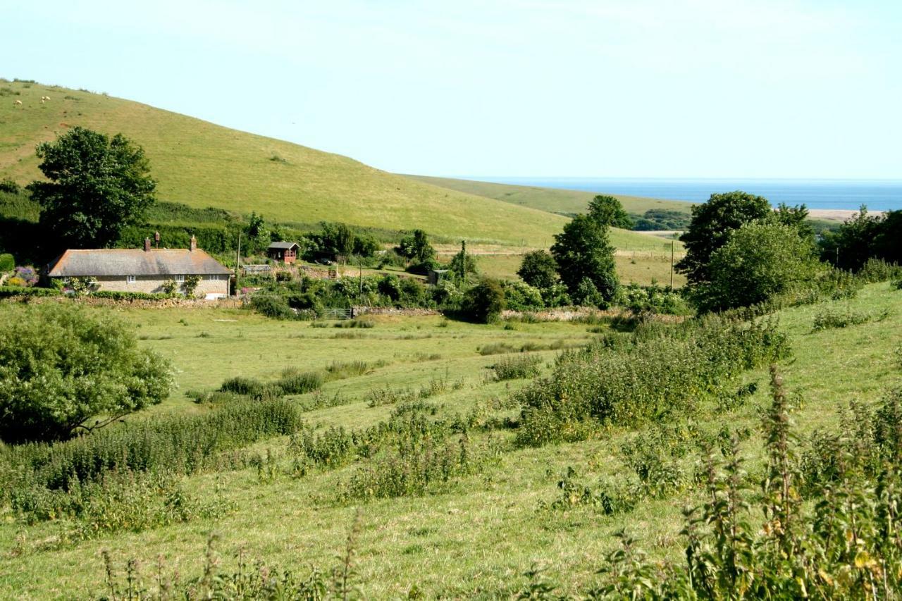 The Cottage Abbotsbury Dış mekan fotoğraf