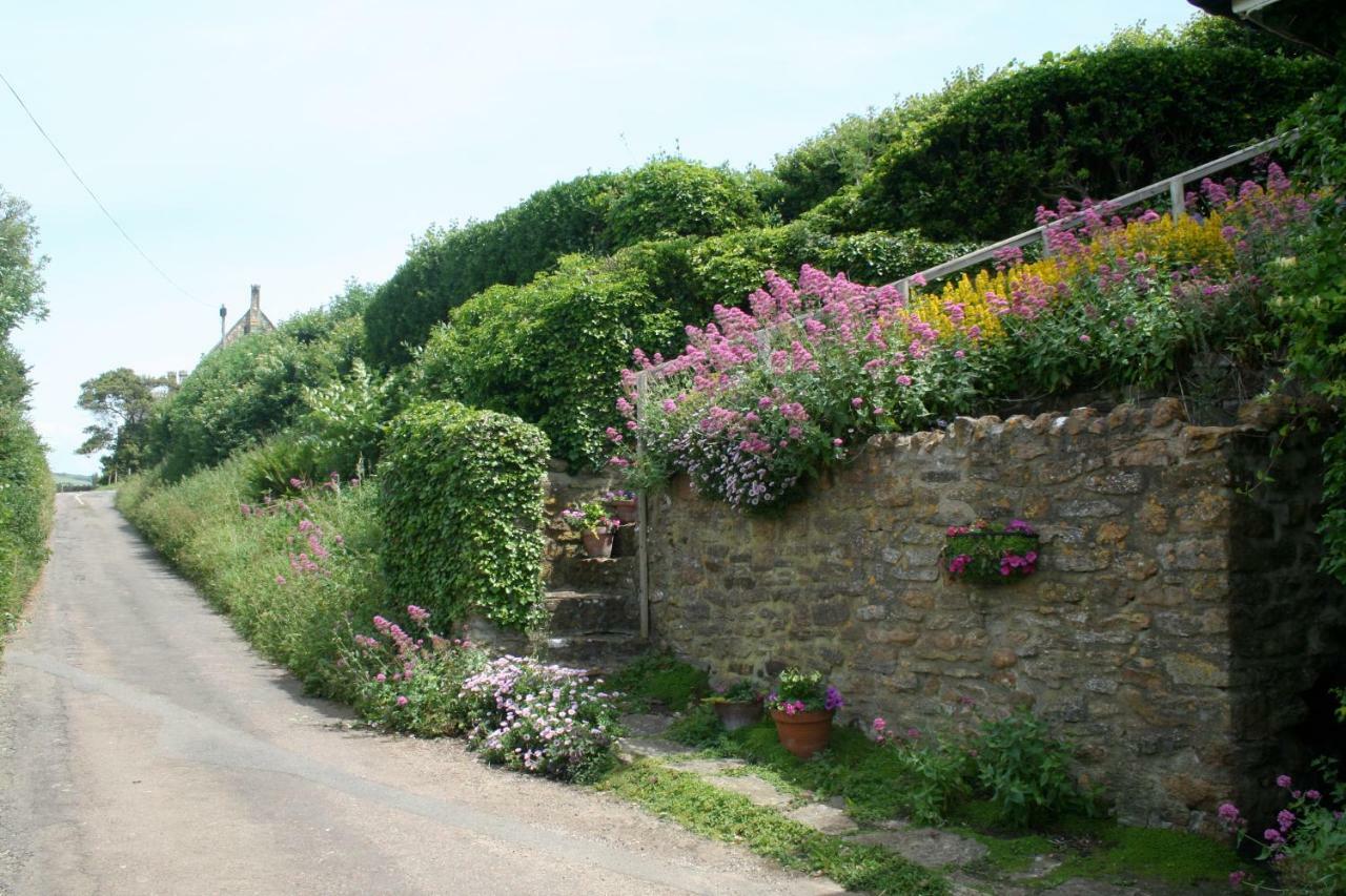 The Cottage Abbotsbury Dış mekan fotoğraf